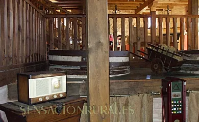 Rincón del Duque en Cortes de Tajuña (Guadalajara) - Foto 12