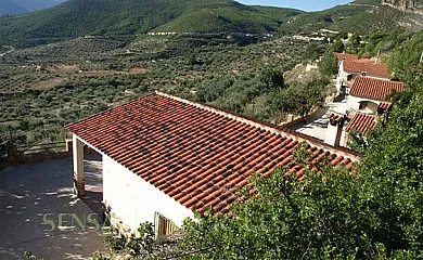 Casas Rurales el Tejo en Yeste (Albacete) - Foto 1