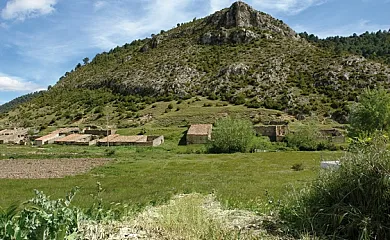 Las Aliagas en Megina (Guadalajara) - Foto 9