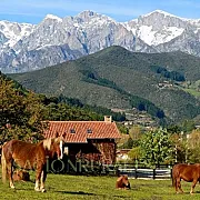 Posada La Casa de Frama 001