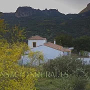 Vivienda Rural Cortijo los Fresnos 001