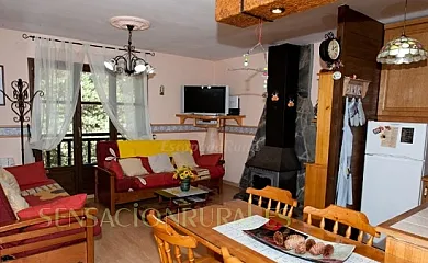 APARTAMENTO LA MAINERA en Espot (Lleida) - Foto 8