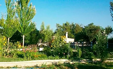 Casa Rural Cortijo El Cosio en Benamaurel (Granada) - Foto 12