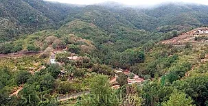 Avestruces Rural 002