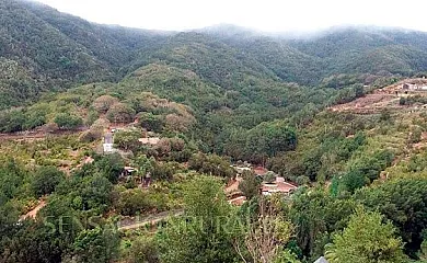 Avestruces Rural en Agulo (Santa Cruz de Tenerife) - Foto 2