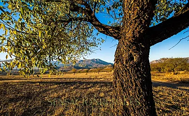Cortijo El Descanso en Vélez Rubio (Almería) - Foto 19