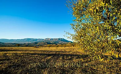 Cortijo El Descanso en Vélez Rubio (Almería) - Foto 20
