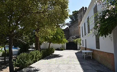 Casa Castillo de las Aguzaderas en El Coronil (Sevilla) - Foto 10
