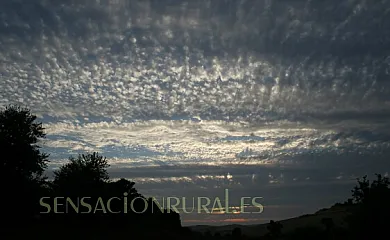 Casa Castillo de las Aguzaderas en El Coronil (Sevilla) - Foto 13