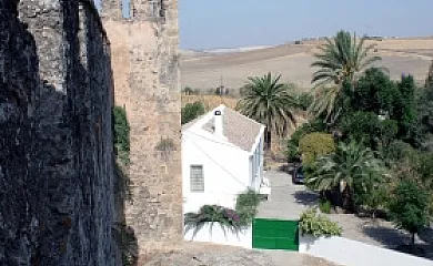 Casa Castillo de las Aguzaderas en El Coronil (Sevilla) - Foto 21