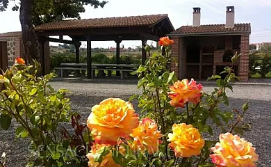 CASA RURAL HUERTA AVECILLA en Villacastin (Segovia) - Foto 2