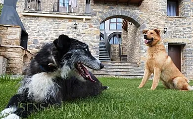 Casa Dieste en Boltaña (Huesca) - Foto 18