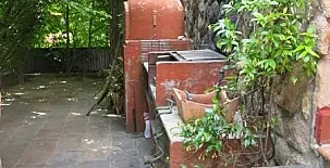 Chalet Navacerrada Piscina privada 002