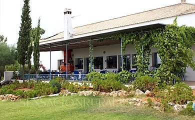 Hotel San Miguel en Cartaya (Huelva) - Foto 5