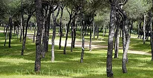 Hotel San Miguel 0019