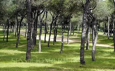 Hotel San Miguel en Cartaya (Huelva) - Foto 19