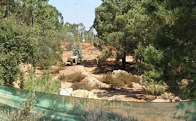 Hotel San Miguel en Cartaya (Huelva) - Foto 23