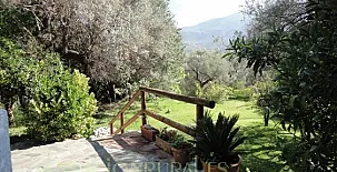 La Cañada Grande 003