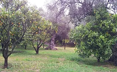 La Cañada Grande en Orgiva (Granada) - Foto 15