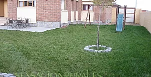 La Casa de Paco Cabrera 005