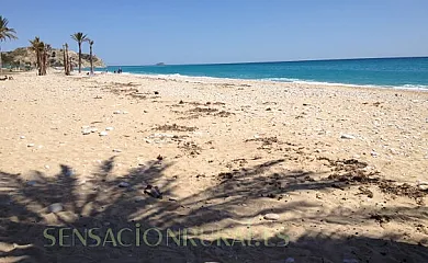 El Paraiso de Tarsila en Villajoyosa (Alicante) - Foto 21