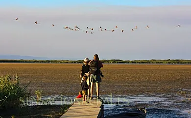 Casa Rural Tia Salomé en Sant Jordi. San Jorge (Castellón) - Foto 13