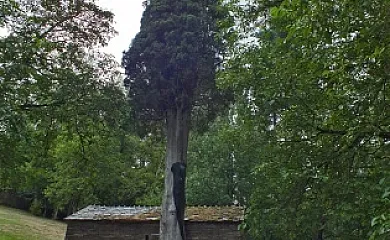 Casa Licerio en Samos (Lugo) - Foto 18