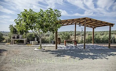 Casa Rural La Pradera en Guadamur (Toledo) - Foto 5