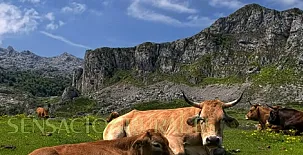 Casas Rurales Axtur 0013