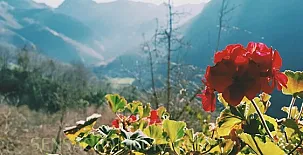 Casas Rurales Axtur 0014