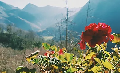 Casas Rurales Axtur en Cangas de Onis (Asturias) - Foto 14