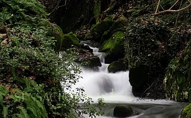 Casas Rurales Axtur en Cangas de Onis (Asturias) - Foto 16