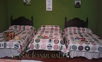 La Noria en Los Palacios y Villafranca (Sevilla) - Foto 14