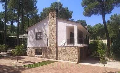 Gran Jaguar en Cadalso de los Vidrios (Madrid) - Foto 2