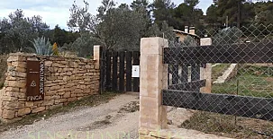 Finca Josentonio 0029