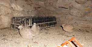 Finca Josentonio 0037