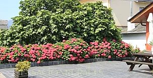 Apartamentos Jesús 0019