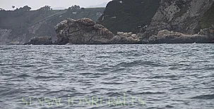 Apartamentos Jesús 0022