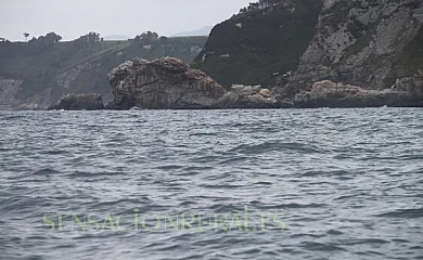 Apartamentos Jesús en Valdés (Asturias) - Foto 22