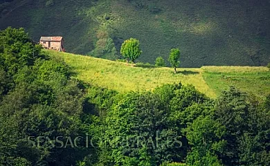 Hotel rural El Quesar de Gamoneo en Gamonedo (Asturias) - Foto 9