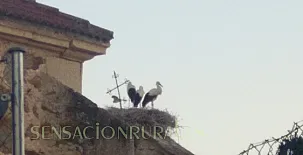 Arroyocantarranas 0015