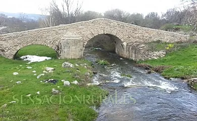 Arroyocantarranas en Canencia de la Sierra (Madrid) - Foto 17