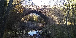 Arroyocantarranas 0020