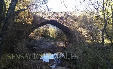 Arroyocantarranas en Canencia de la Sierra (Madrid) - Foto 20