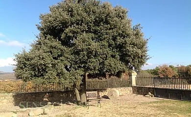 Cal Tristany en Pinós (Lleida) - Foto 19