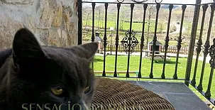 Villa Ambasaguas 0016