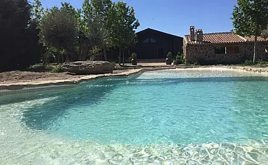 Agroturismo Los Castillos en Mascaraque (Toledo) - Foto 9