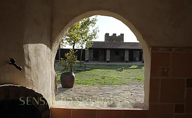 Agroturismo Los Castillos en Mascaraque (Toledo) - Foto 15