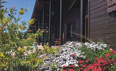 Agroturismo Los Castillos en Mascaraque (Toledo) - Foto 16