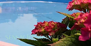 El Campo de la Jura 002